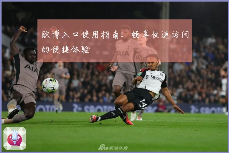 欧博入口使用指南:畅享快速访问的便捷体验