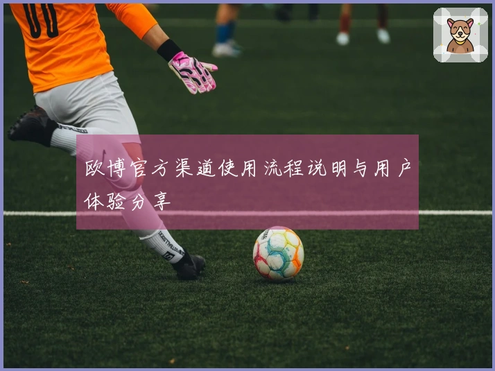 欧博官方渠道使用流程说明与用户体验分享