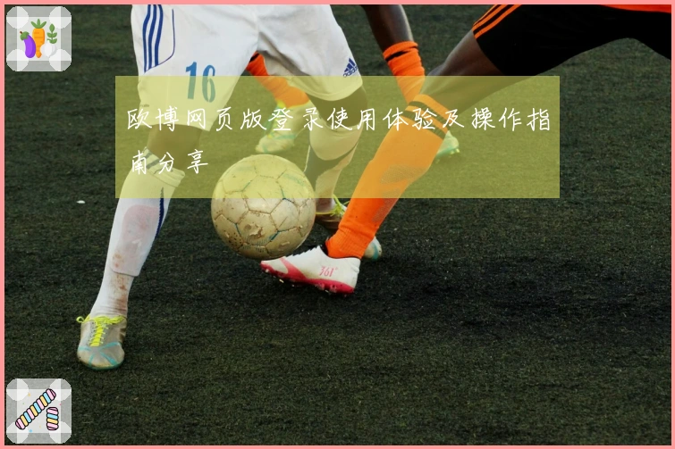 欧博网页版登录使用体验及操作指南分享