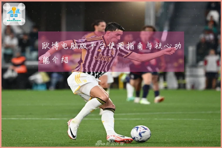 欧博电脑版平台使用指南与核心功能介绍