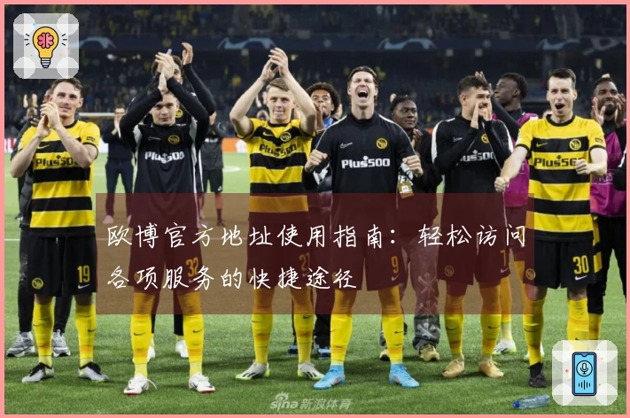 欧博官方地址使用指南：轻松访问各项服务的快捷途径